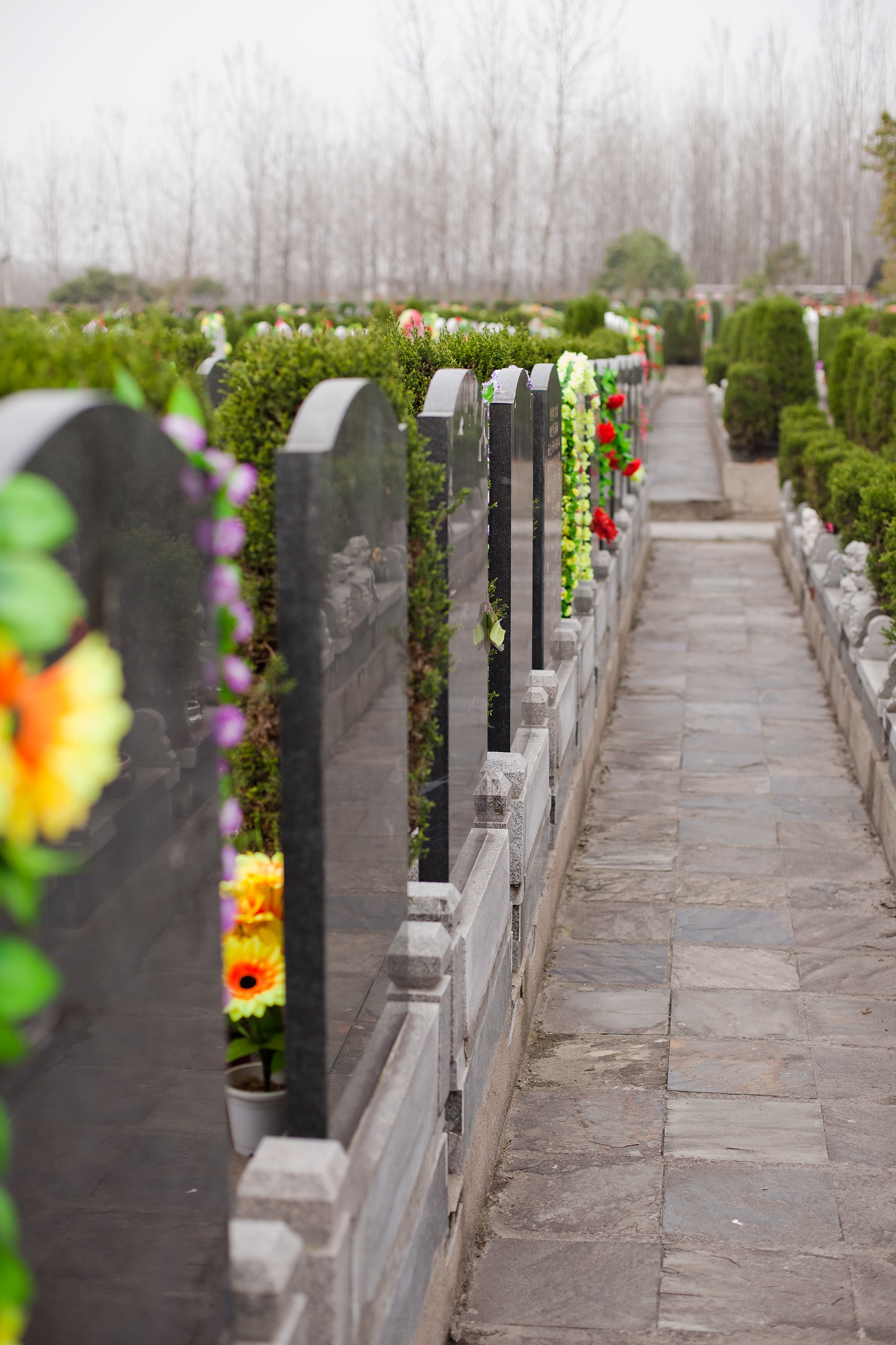 Reihe von Grabsteinen mit bunten Blumenarrangements entlang eines gepflasterten Weges auf einem Friedhof
