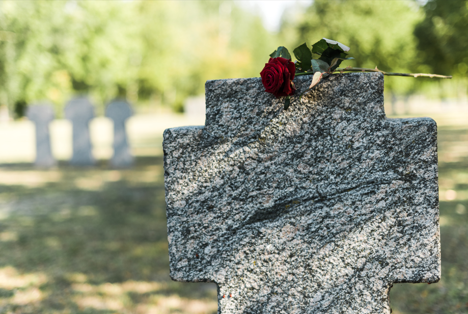 Grabstein in Kreuzform mit einer roten Rose darauf, im Hintergrund weitere Grabsteine auf einem Friedhof.